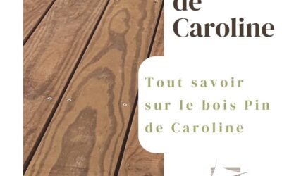 🪵 Pin de Caroline  Le Pin de Caroline, un bois…