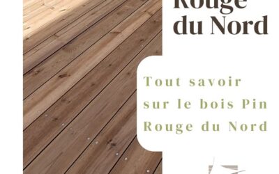 🪵 Pin Rouge du Nord  Originaire des forêts scandinaves et…